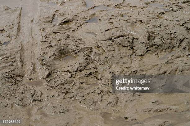 squelchy mud - mud stock pictures, royalty-free photos & images