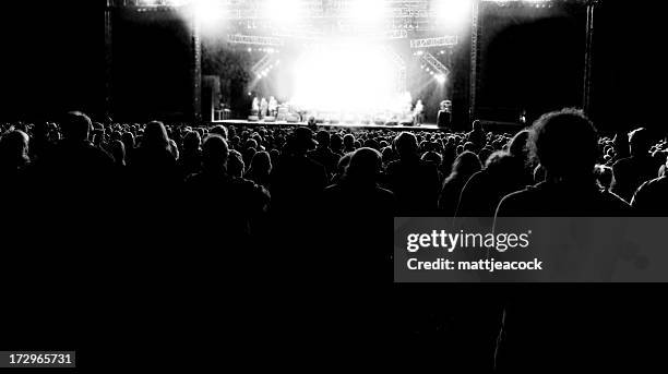 crowd at a music concert - mass unit of measurement stock pictures, royalty-free photos & images