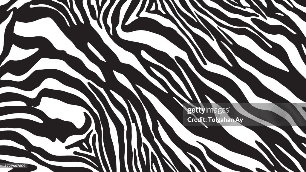 Wild Elegance: Zebra-Inspired Patterns for a Stylish Look