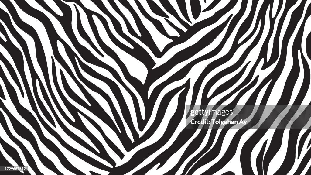 Wild Elegance: Zebra-Inspired Patterns for a Stylish Look