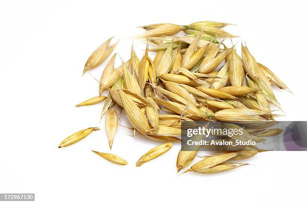 oat grains on a white background - avena sativa stock pictures, royalty-free photos & images