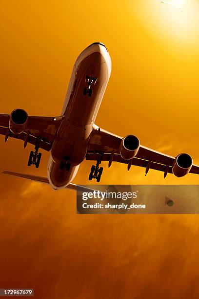 jet airplane landing at sunset - yellow cargo container stock pictures, royalty-free photos & images