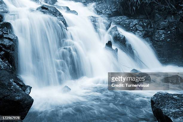 peaceful waterfall - strömmande vatten bildbanksfoton och bilder