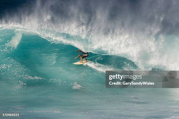 surfer in the curl - large breaking wave stock pictures, royalty-free photos & images