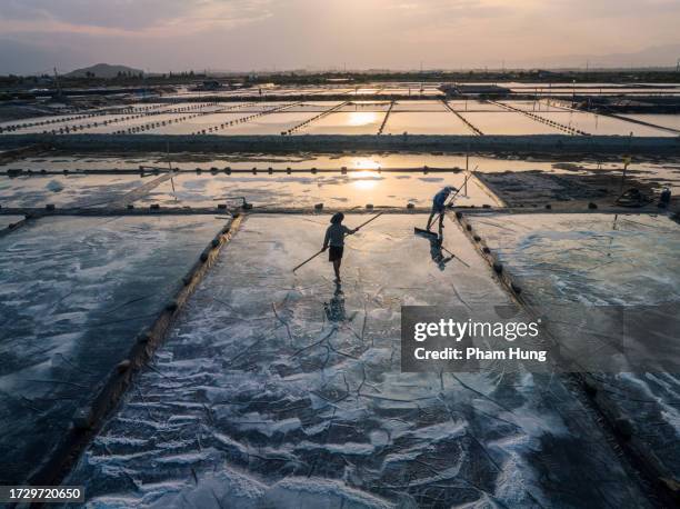 collecting salt on hon khoi salt field - salt flat stock pictures, royalty-free photos & images