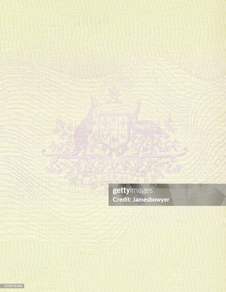 Passport graphic with many intricate lines