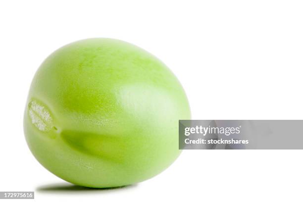 guisante - arveja fotografías e imágenes de stock