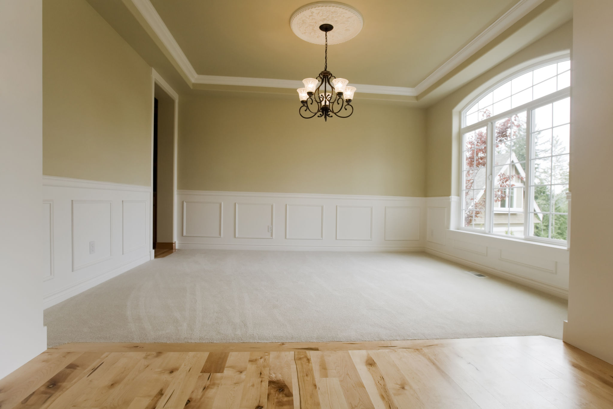 carpet hardwood