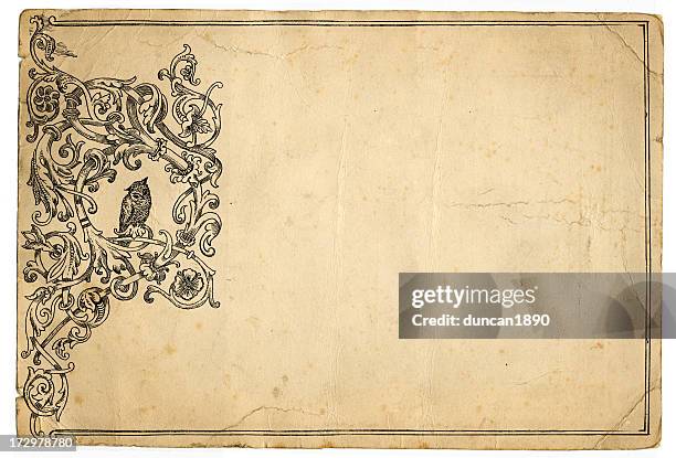 grunge paper owl frame - paper-scroll-sketch stock illustrations