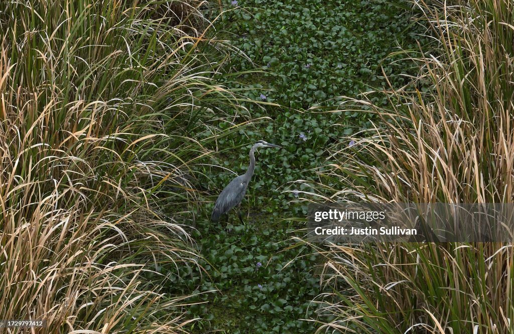 Severe Drought In Louisiana Impacts State’s Agriculture Yields