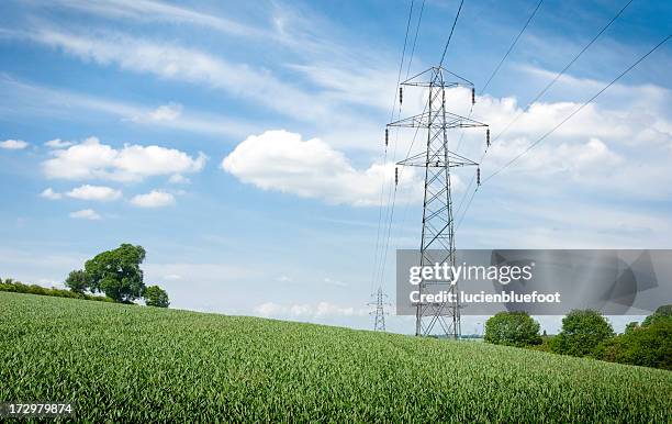 lush field with electricity pylons - electricity pylon 個照片及圖片檔