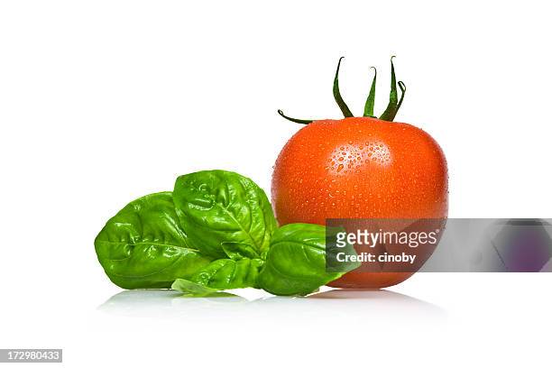 tomato and basil - basil stock pictures, royalty-free photos & images