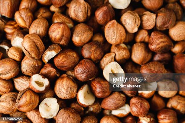 peeled and roasted organic hazelnuts - hazelnut pattern stock pictures, royalty-free photos & images