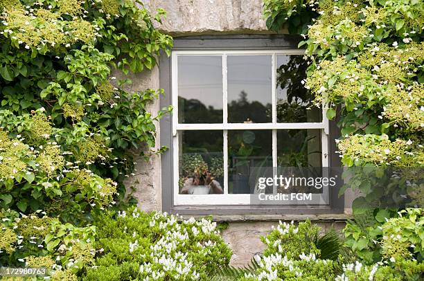 english country cottage - skjutfönster bildbanksfoton och bilder