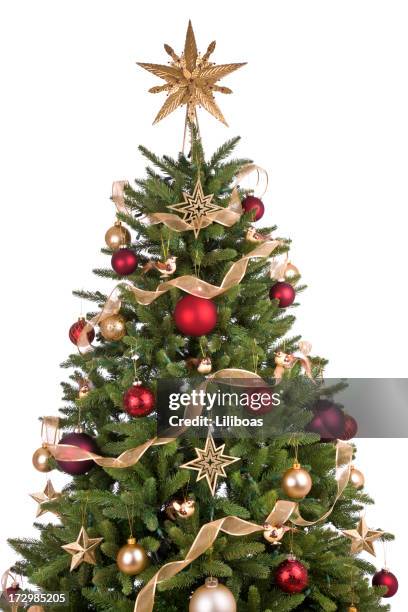 christmas tree (xxl) - julgran bildbanksfoton och bilder