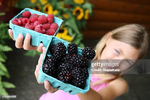 beautiful child holds fresh produce at farmers market - blackberry fruit macro stock pictures, royalty-free photos & images