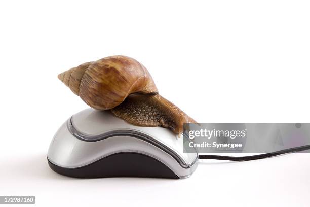 Mouse Riding Snail 1,483 Snail Symbol Stock Photos, High-Res Pictures, and Images - Getty ...