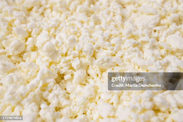 cottage cheese texture background - hüttenkäse stock-fotos und bilder