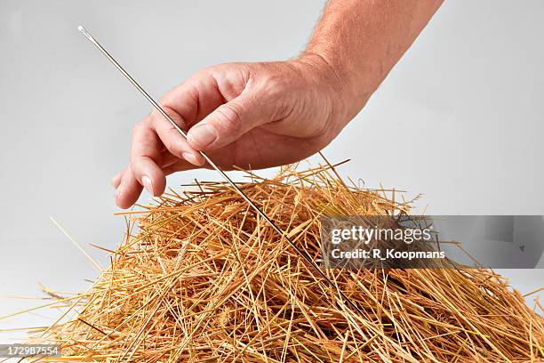 Small Hay Stack Hay Stack Needle Photos and Premium High Res Pictures - Getty Images