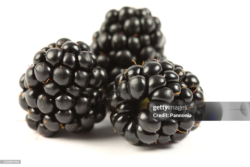 Close-up of three blackberries on a white background