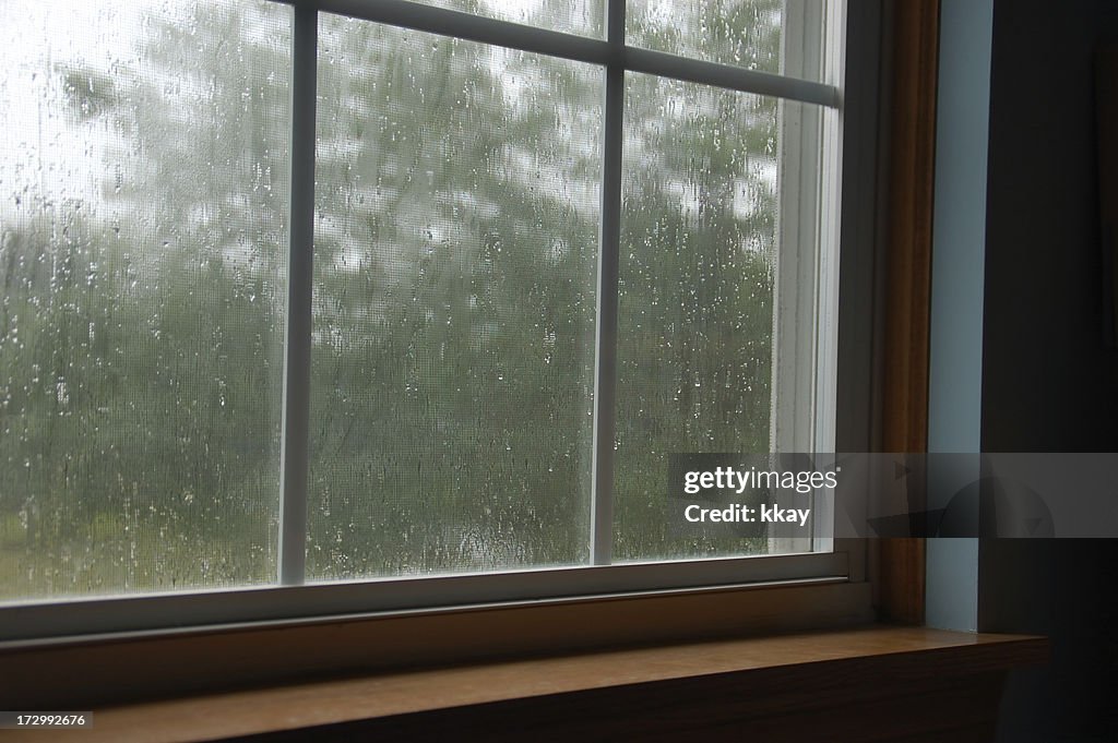 Rainy Window