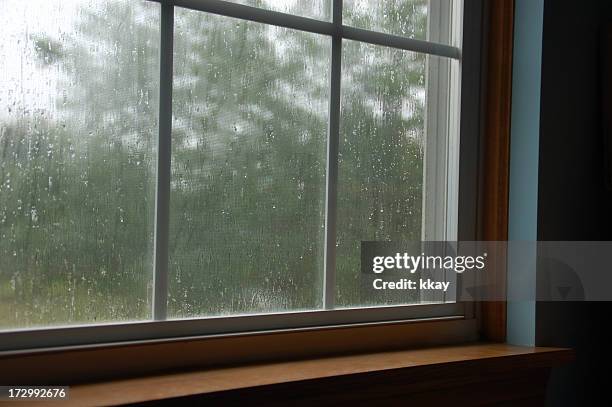 rainy window - window sill 個照片及圖片檔