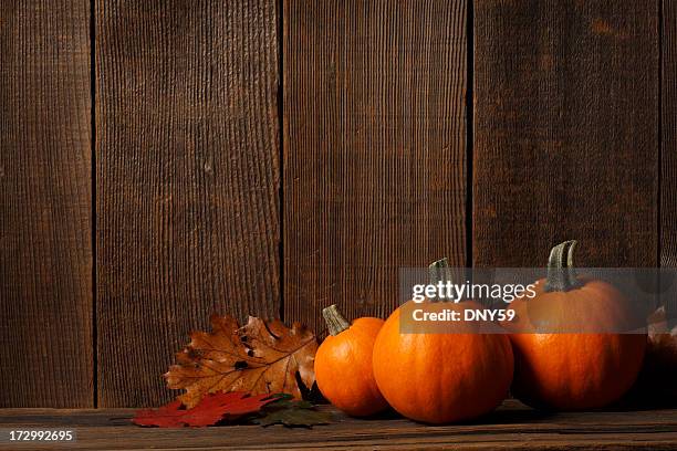 autumn - calabasas stock pictures, royalty-free photos & images