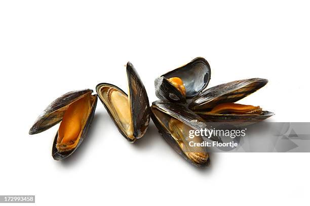 restaurant de fruits de mer: moules - moule photos et images de collection