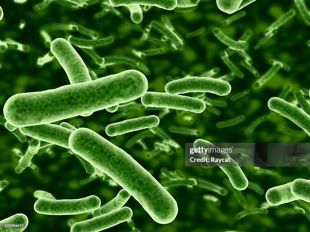 Bakterien fließenden