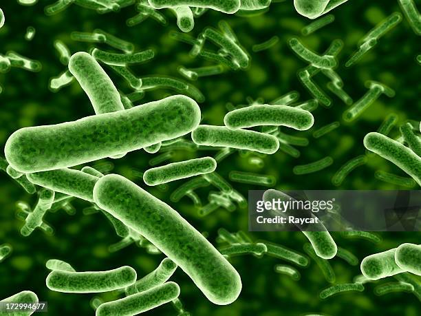 microscope view of bacteria flowing - cultures stock pictures, royalty-free photos & images
