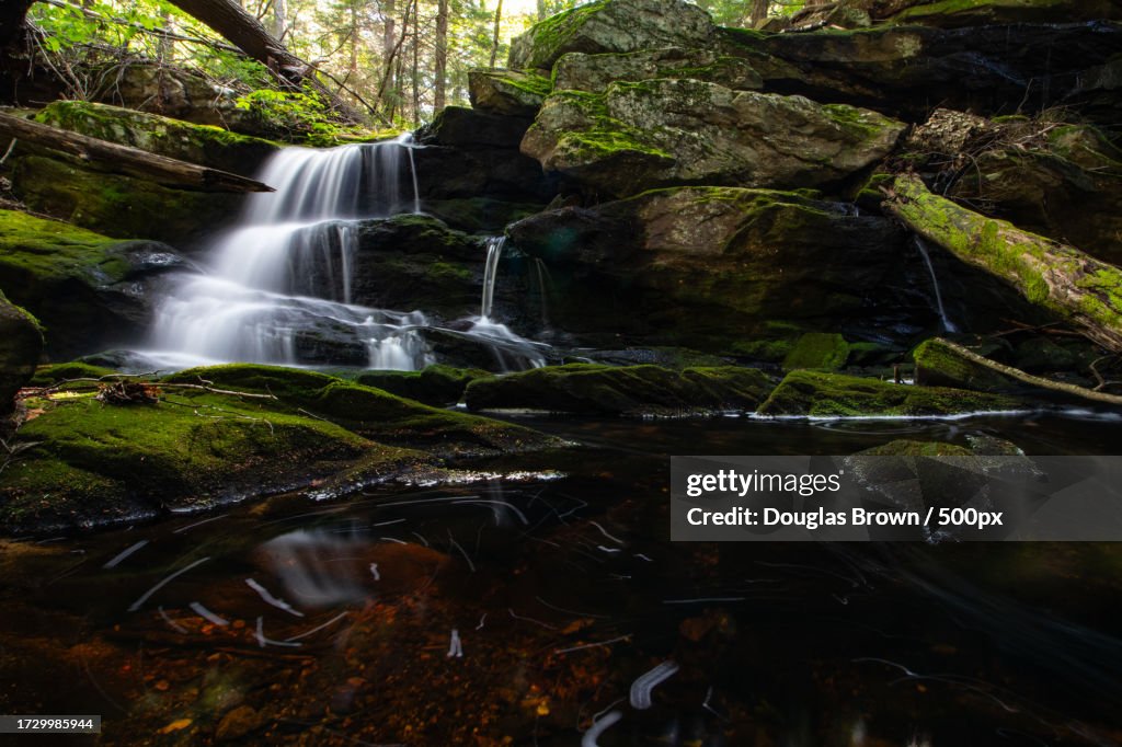 Scenic view of waterfall in forest,Tyringham,Massachusetts,United States,USA