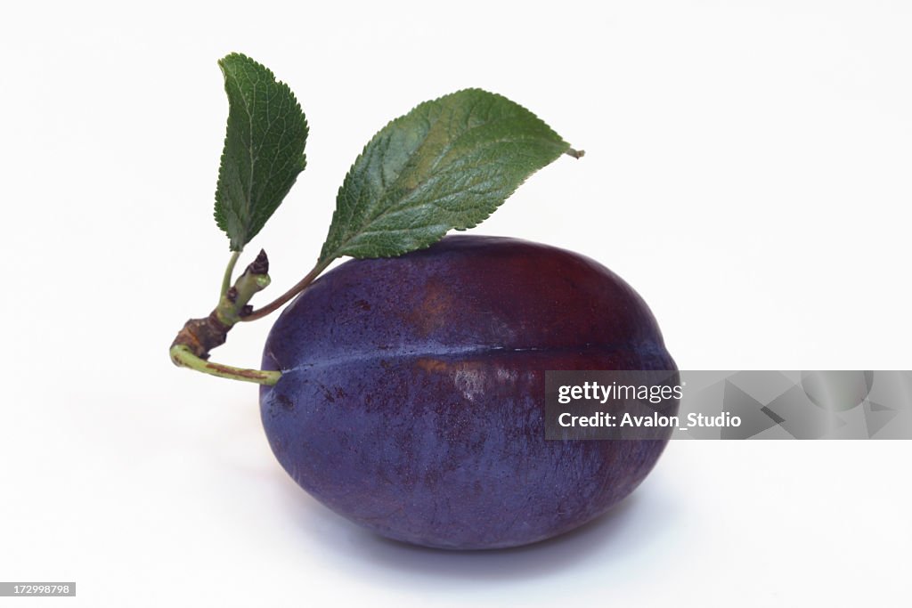 Plum