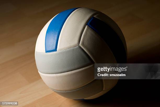 lone volleyball - high school volleyball 個照片及圖片檔