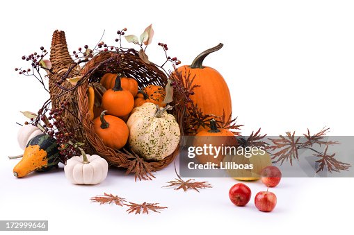 Cornucopia (XXL) Cornucopia (XXL)