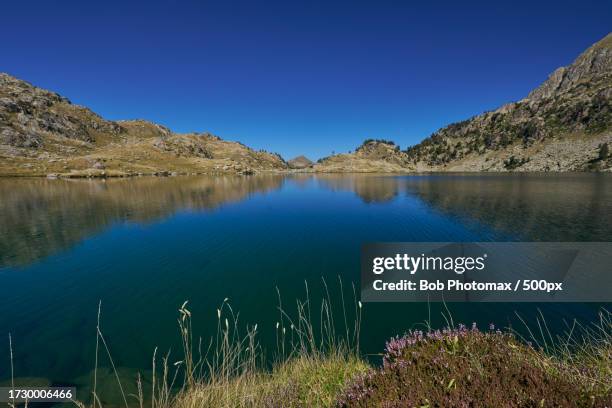 scenic view of lake against clear blue sky - randonnée pédestre stock pictures, royalty-free photos & images