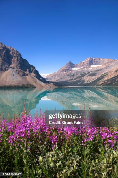 view of mountain lake. - bow river stock pictures, royalty-free photos & images