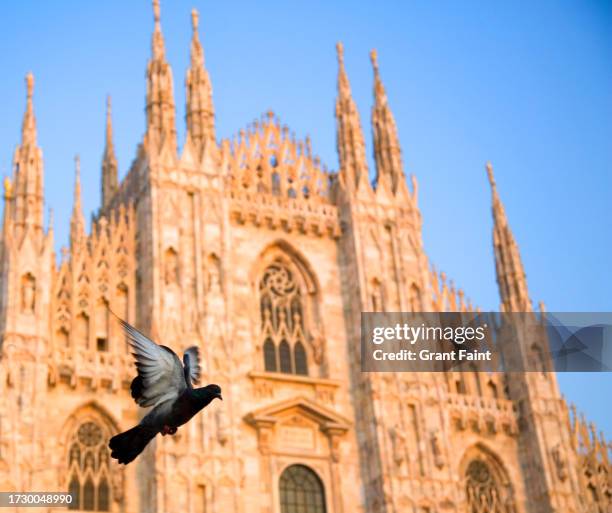 view of cathedral. - piazza del duomo milan stock pictures, royalty-free photos & images