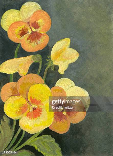 yellow pansies arrangement - pansy stock illustrations