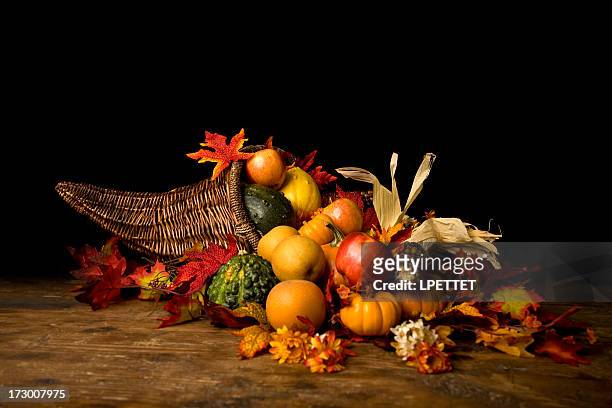 cornucopia del día de acción de gracias - fall harvest fotografías e imágenes de stock