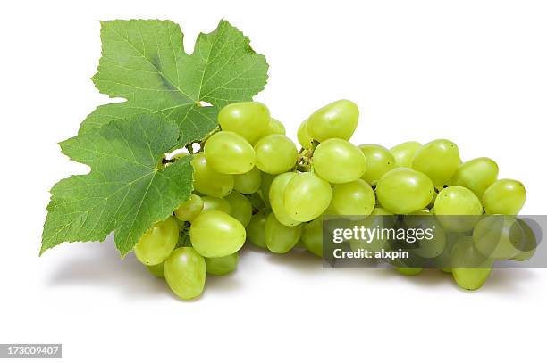 grapes cluster - witte druif stockfoto's en -beelden