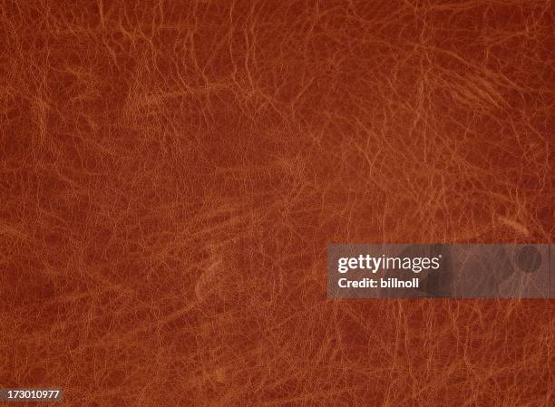 light brown leather with slight vignette - cowhide stock pictures, royalty-free photos & images