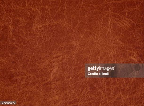 light brown leather with slight vignette - leather stock pictures, royalty-free photos & images