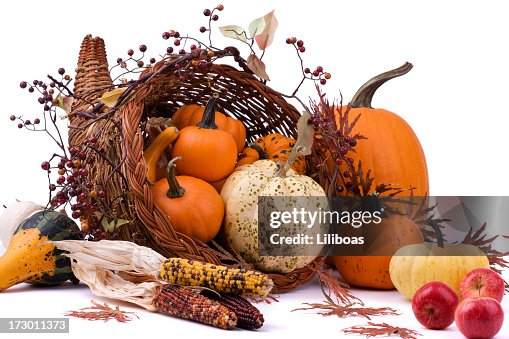 Cornucopia (XXL) Cornucopia (XXL)