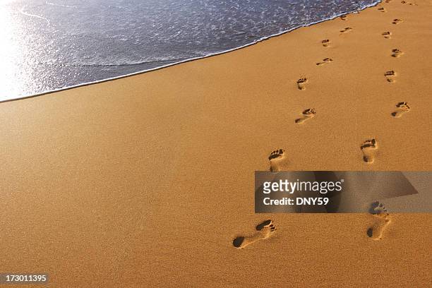 footprints in the beach sand - footprint stock pictures, royalty-free photos & images
