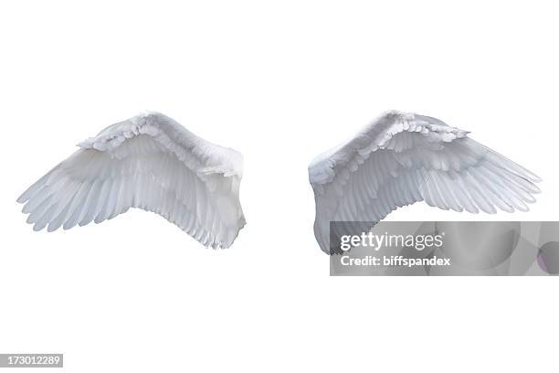 ali di angelo isolato su bianco - angel wings foto e immagini stock