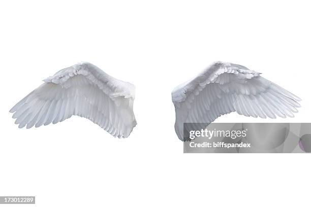 isolated white angel wings - spread wings stock pictures, royalty-free photos & images