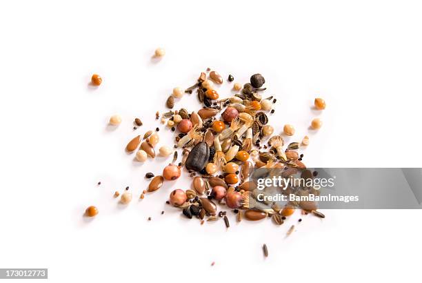 wild seeds - flowers on white stock pictures, royalty-free photos & images