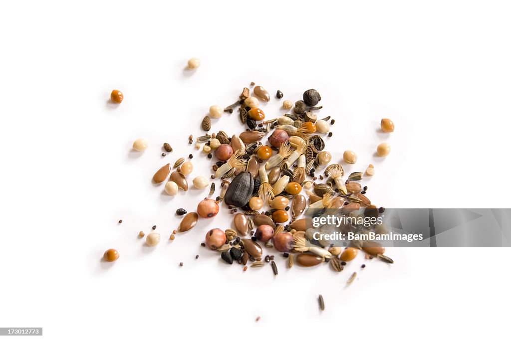 Wild Seeds