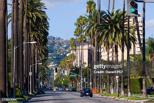 beverly hills residential scene - beverly hills californië stockfoto's en -beelden