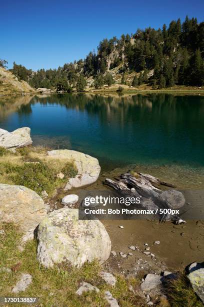 scenic view of lake against clear blue sky - randonnée pédestre stock pictures, royalty-free photos & images